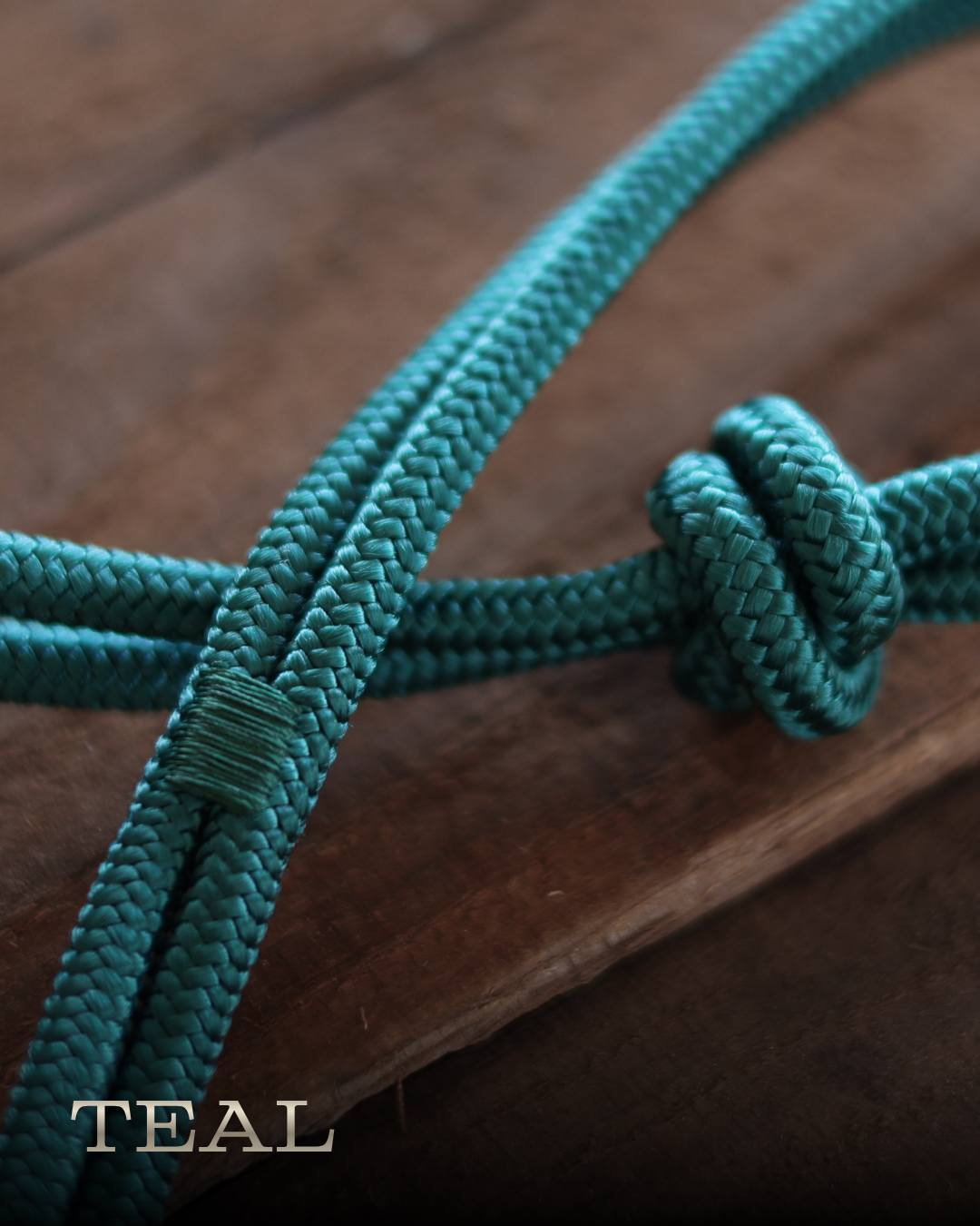 Timeless Halter & Lead Rope Set- Solid Teal