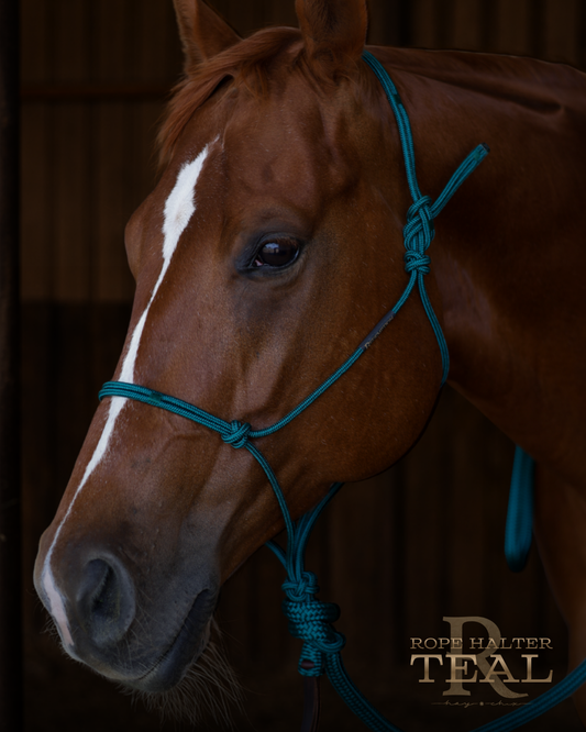 Redemption Rope Halters