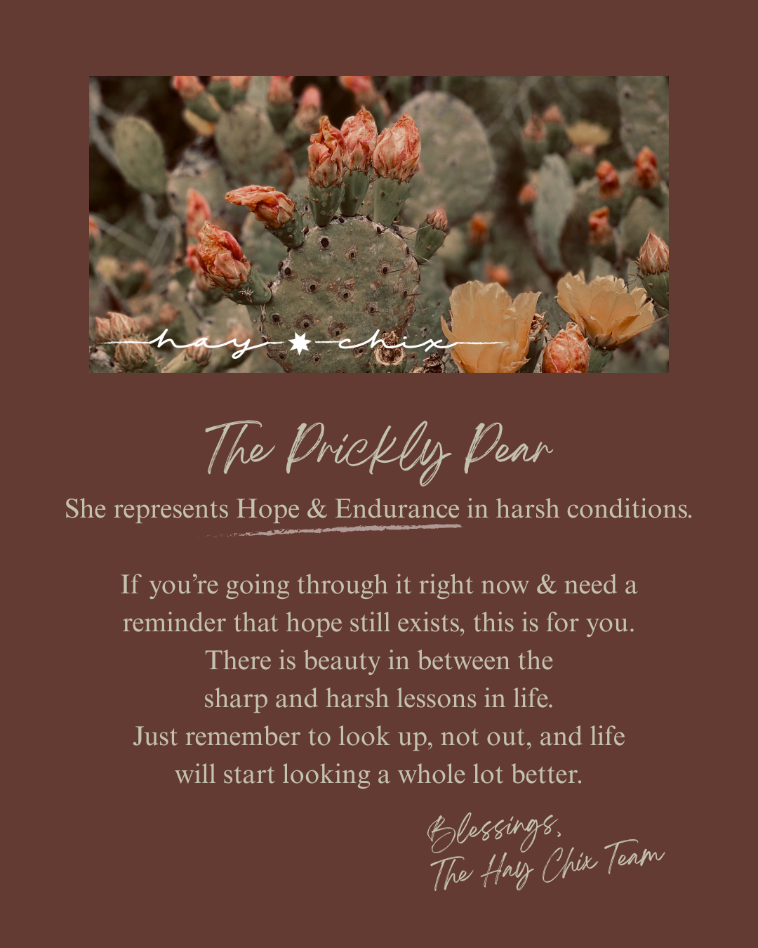 Prickly Pear Graphic Tee