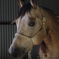 Redemption Rope Halters (Standard Size - On Sale)