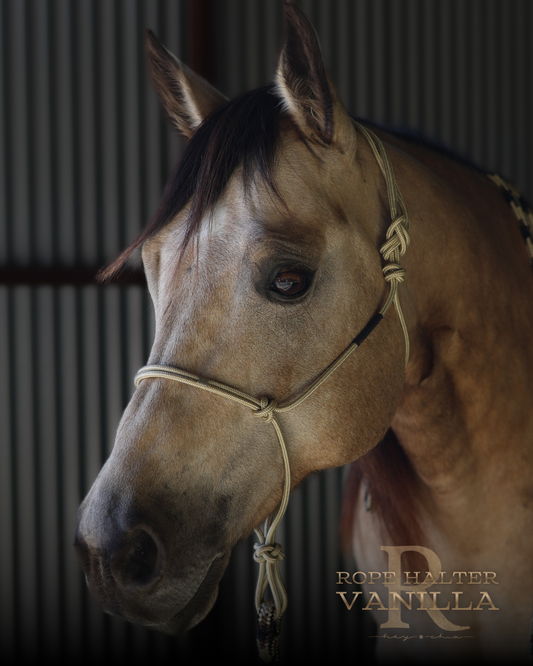 Redemption Rope Halters (Standard Size - On Sale)