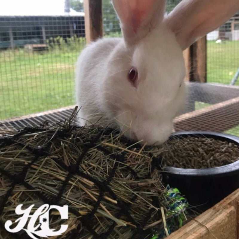 Hay Chix® Fun Foraging Net