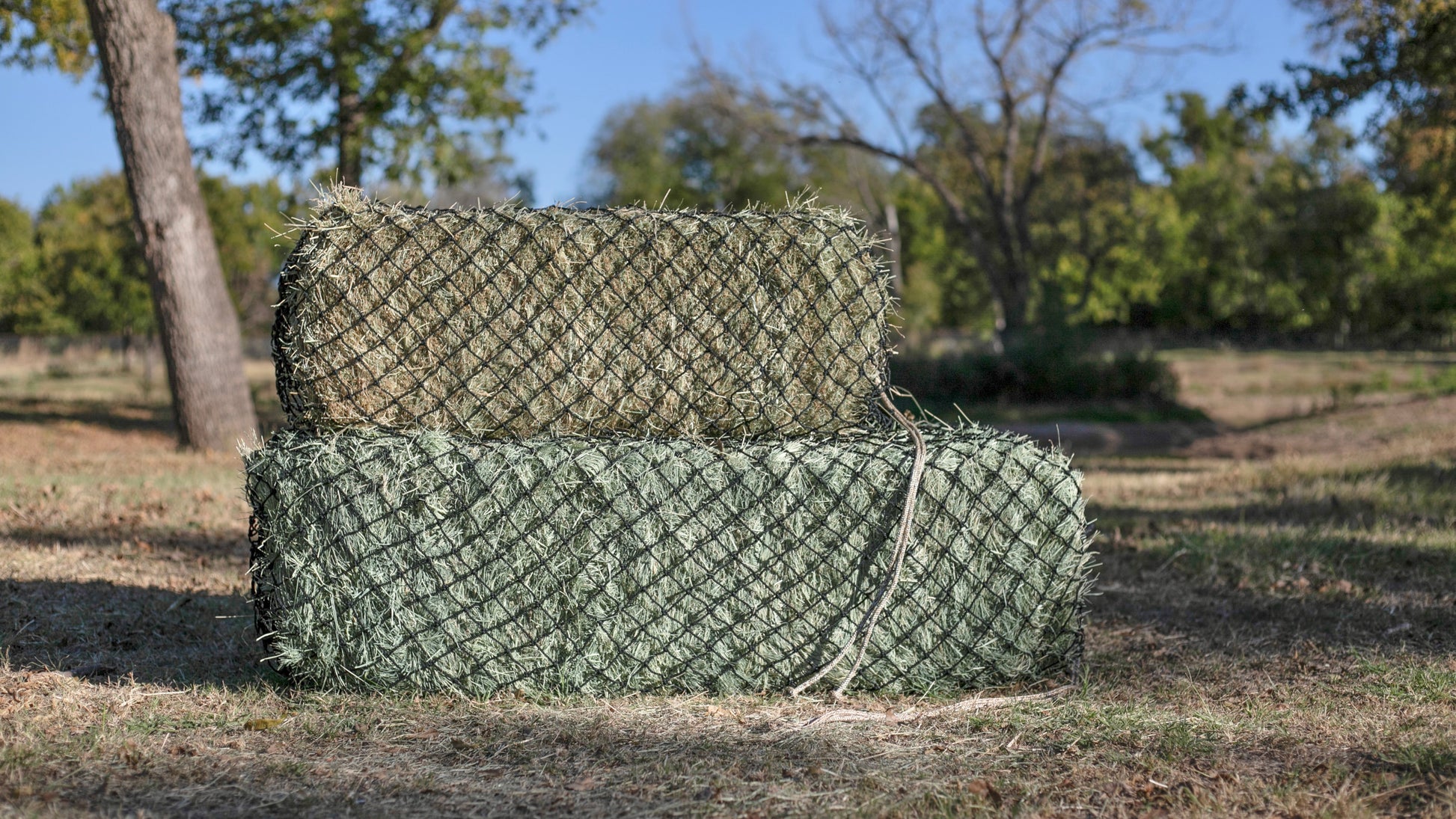 Hay Chix Slow Feed Hay Net for [Horse and Livestock Health, hay Feeder, hay  net, Slow Feed hay net] Save Your time, hay and Money! Half Bale Net (1