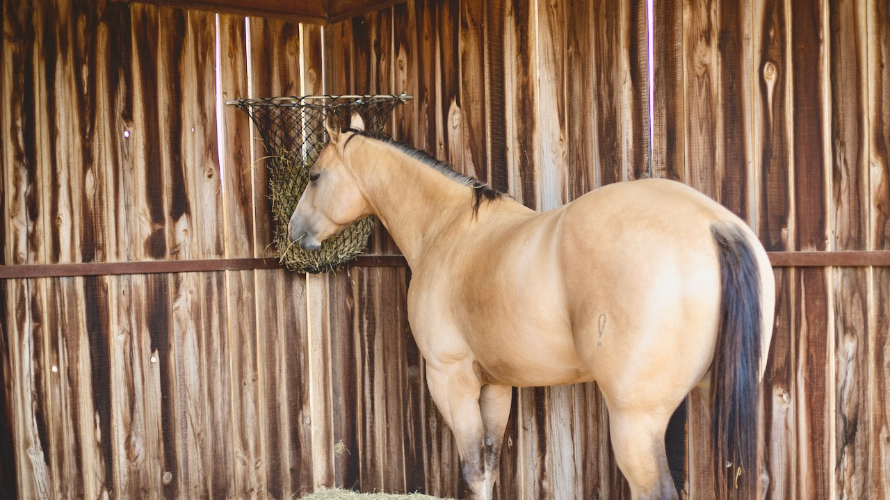 Hay chix slow outlet feed net