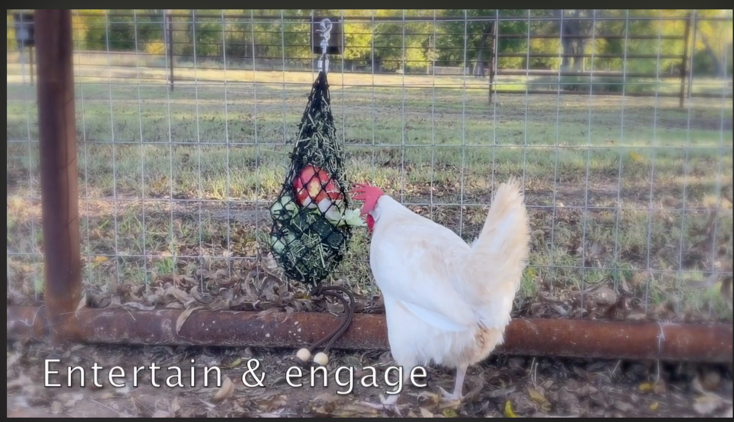 Hay Chix® Fun Foraging Net